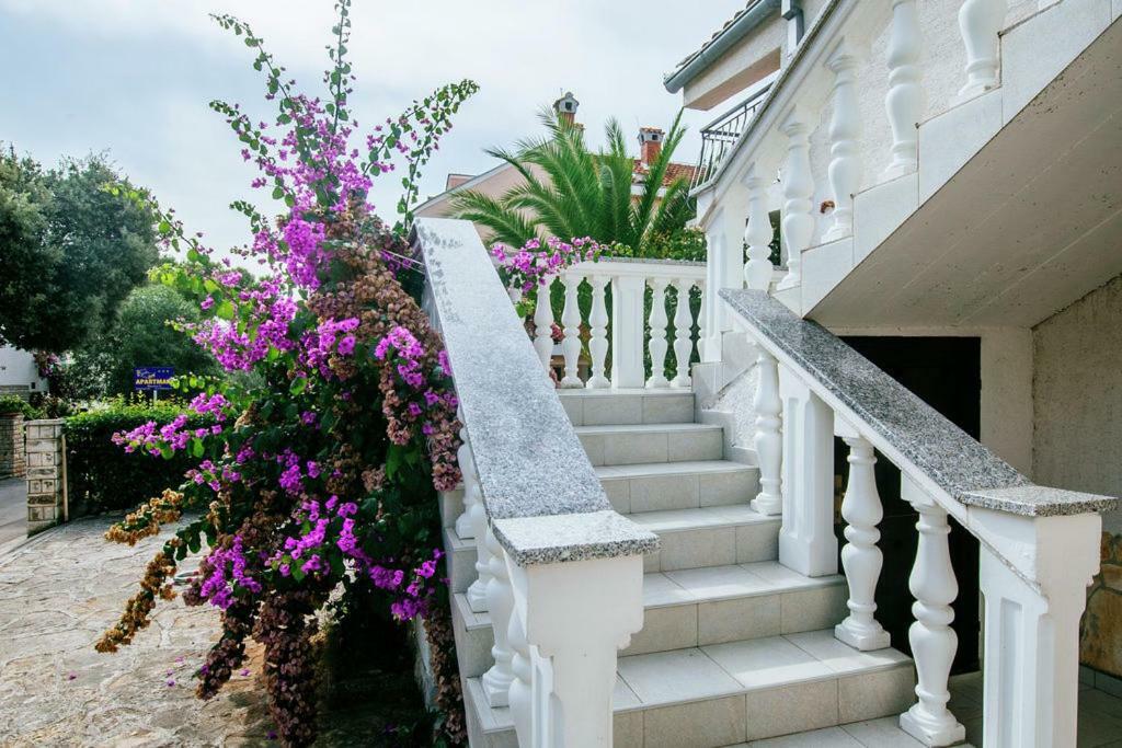 Apartment Nada Петрчане Екстер'єр фото